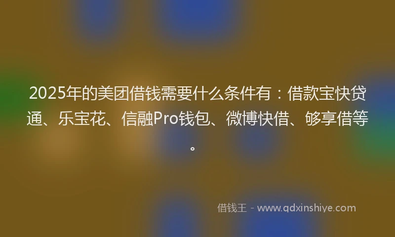 2025年的美团借钱需要什么条件有：借款宝快贷通、乐宝花、信融Pro钱包、微博快借、够享借等。
