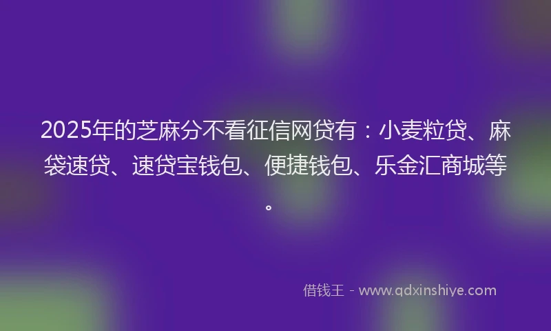 2025年的芝麻分不看征信网贷有：小麦粒贷、麻袋速贷、速贷宝钱包、便捷钱包、乐金汇商城等。