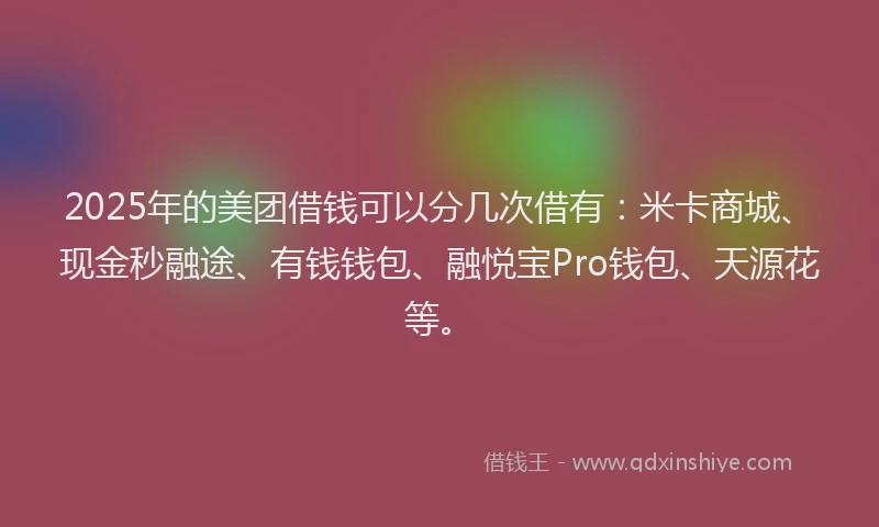 2025年的美团借钱可以分几次借有：米卡商城、现金秒融途、有钱钱包、融悦宝Pro钱包、天源花等。