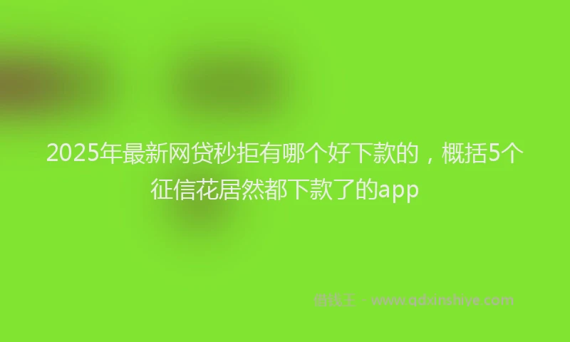 2025年最新网贷秒拒有哪个好下款的，概括5个征信花居然都下款了的app