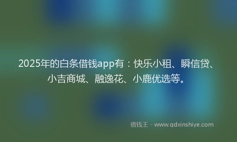 2025年的白条借钱app有：快乐小租、瞬信贷、小吉商城、融逸花、小鹿优选等。