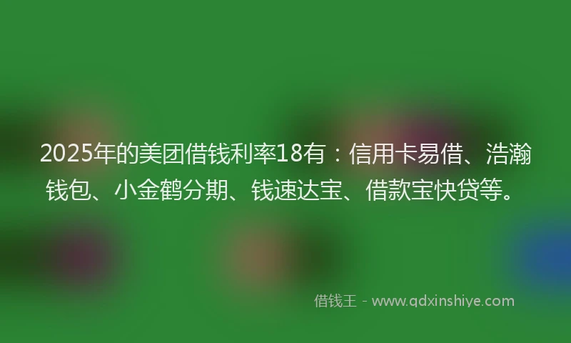 2025年的美团借钱利率18有：信用卡易借、浩瀚钱包、小金鹤分期、钱速达宝、借款宝快贷等。