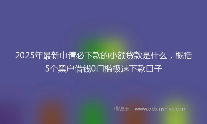 2025年最新申请必下款的小额贷款是什么，概括5个黑户借钱0门槛极速下款口子