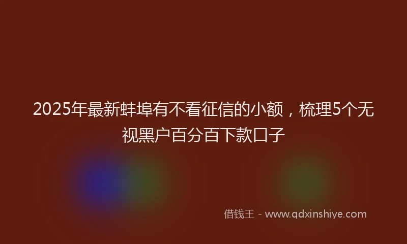2025年最新蚌埠有不看征信的小额，梳理5个无视黑户百分百下款口子