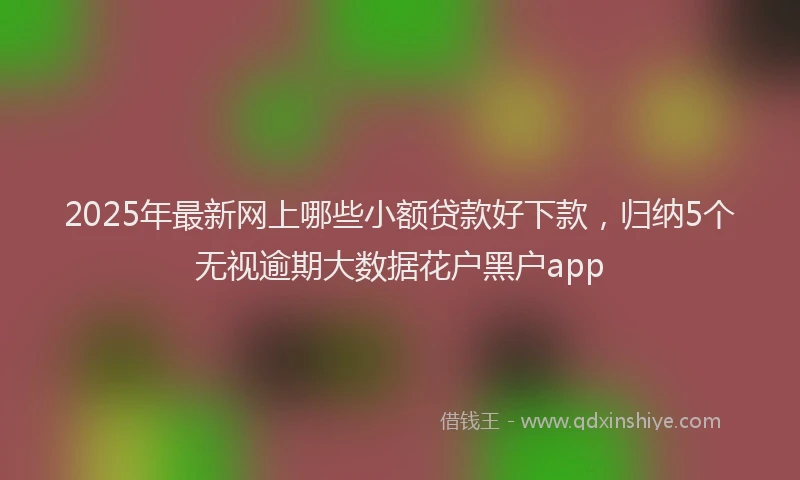 2025年最新网上哪些小额贷款好下款，归纳5个无视逾期大数据花户黑户app