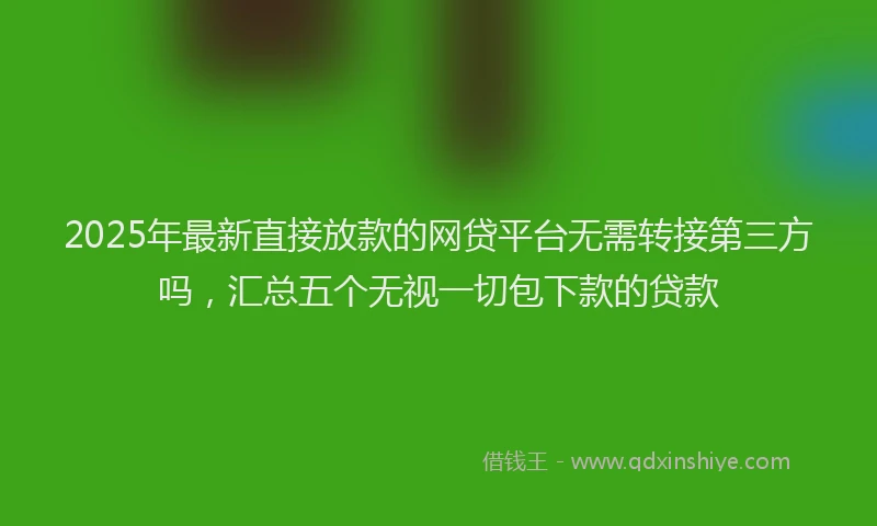 2025年最新直接放款的网贷平台无需转接第三方吗，汇总五个无视一切包下款的贷款