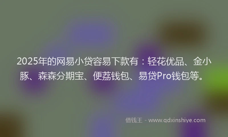 2025年的网易小贷容易下款有：轻花优品、金小豚、森森分期宝、便荔钱包、易贷Pro钱包等。