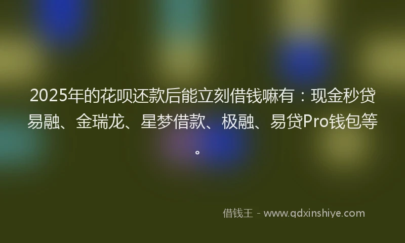 2025年的花呗还款后能立刻借钱嘛有：现金秒贷易融、金瑞龙、星梦借款、极融、易贷Pro钱包等。