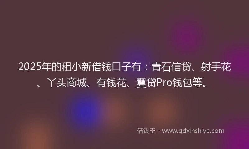 2025年的租小新借钱口子有：青石信贷、射手花、丫头商城、有钱花、翼贷Pro钱包等。
