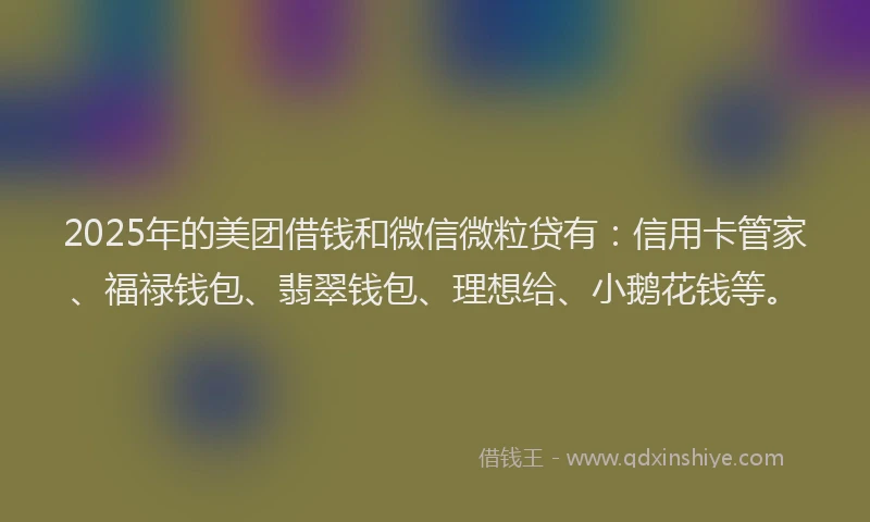 2025年的美团借钱和微信微粒贷有：信用卡管家、福禄钱包、翡翠钱包、理想给、小鹅花钱等。