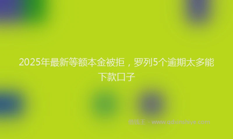 2025年最新等额本金被拒，罗列5个逾期太多能下款口子