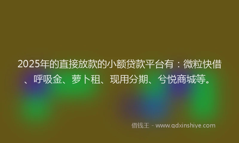 2025年的直接放款的小额贷款平台有：微粒快借、呼吸金、萝卜租、现用分期、兮悦商城等。