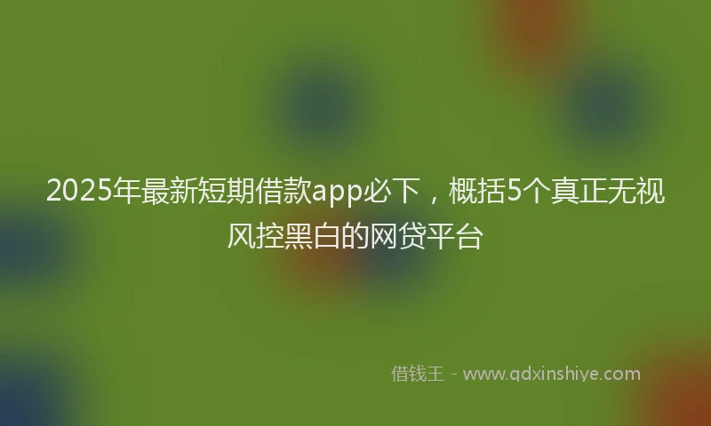 2025年最新短期借款app必下，概括5个真正无视风控黑白的网贷平台