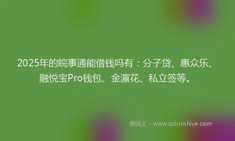 2025年的皖事通能借钱吗有：分子贷、惠众乐、融悦宝Pro钱包、金瀛花、私立签等。