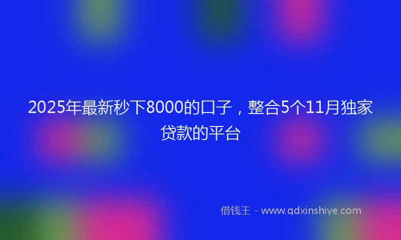 2025年最新秒下8000的口子，整合5个11月独家贷款的平台