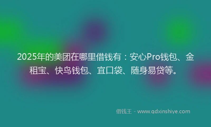 2025年的美团在哪里借钱有：安心Pro钱包、金租宝、快鸟钱包、宜口袋、随身易贷等。