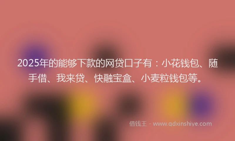 2025年的能够下款的网贷口子有：小花钱包、随手借、我来贷、快融宝盒、小麦粒钱包等。