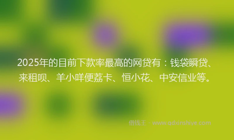 2025年的目前下款率最高的网贷有：钱袋瞬贷、来租呗、羊小咩便荔卡、恒小花、中安信业等。