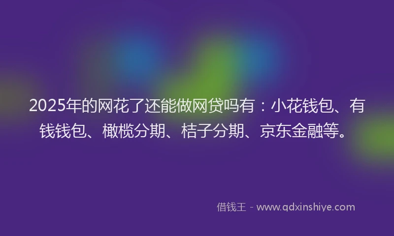 2025年的网花了还能做网贷吗有：小花钱包、有钱钱包、橄榄分期、桔子分期、京东金融等。
