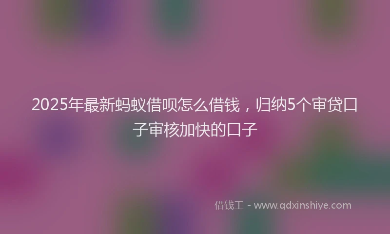 2025年最新蚂蚁借呗怎么借钱，归纳5个审贷口子审核加快的口子