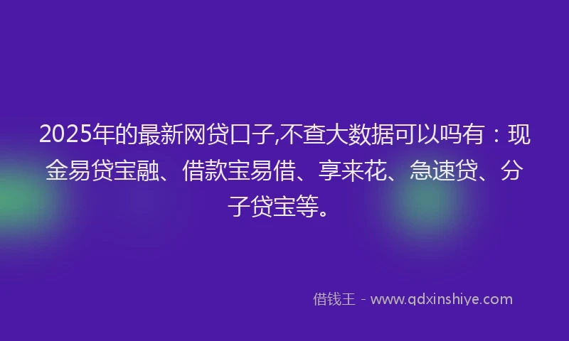 2025年的最新网贷口子,不查大数据可以吗有：现金易贷宝融、借款宝易借、享来花、急速贷、分子贷宝等。