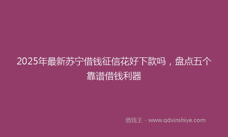 2025年最新苏宁借钱征信花好下款吗，盘点五个靠谱借钱利器