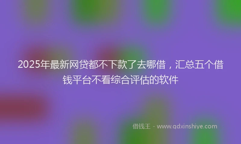 2025年最新网贷都不下款了去哪借，汇总五个借钱平台不看综合评估的软件