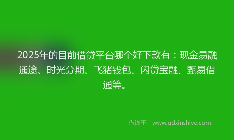 2025年的目前借贷平台哪个好下款有：现金易融通途、时光分期、飞猪钱包、闪贷宝融、甄易借通等。