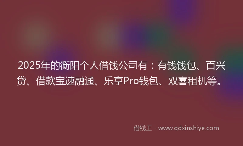 2025年的衡阳个人借钱公司有：有钱钱包、百兴贷、借款宝速融通、乐享Pro钱包、双喜租机等。