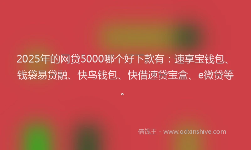 2025年的网贷5000哪个好下款有：速享宝钱包、钱袋易贷融、快鸟钱包、快借速贷宝盒、e微贷等。