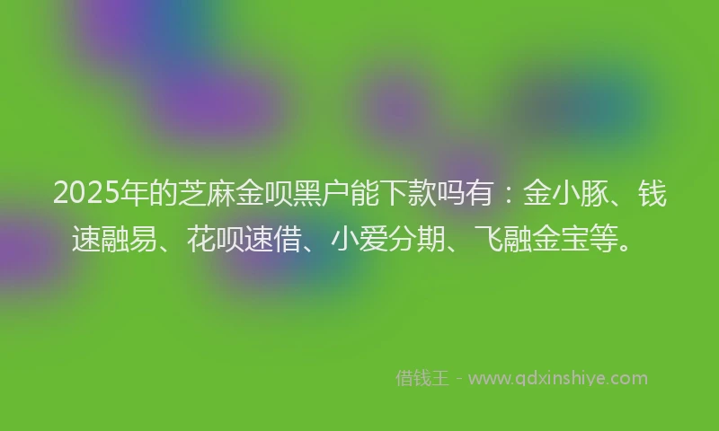2025年的芝麻金呗黑户能下款吗有：金小豚、钱速融易、花呗速借、小爱分期、飞融金宝等。