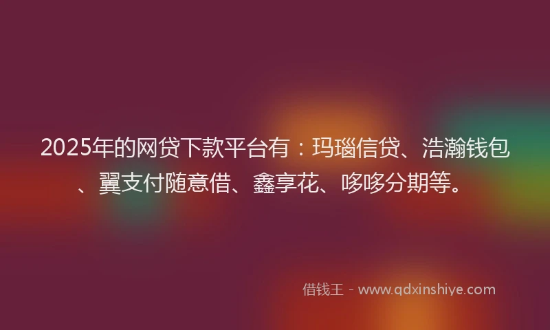 2025年的网贷下款平台有：玛瑙信贷、浩瀚钱包、翼支付随意借、鑫享花、哆哆分期等。