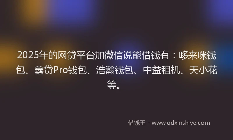 2025年的网贷平台加微信说能借钱有：哆来咪钱包、鑫贷Pro钱包、浩瀚钱包、中益租机、天小花等。