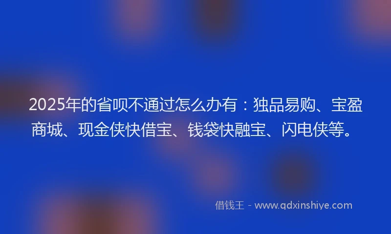 2025年的省呗不通过怎么办有：独品易购、宝盈商城、现金侠快借宝、钱袋快融宝、闪电侠等。