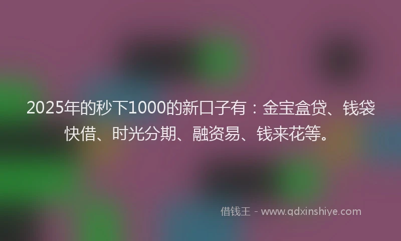 2025年的秒下1000的新口子有：金宝盒贷、钱袋快借、时光分期、融资易、钱来花等。