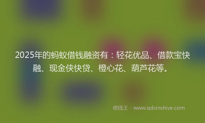 2025年的蚂蚁借钱融资有：轻花优品、借款宝快融、现金侠快贷、橙心花、葫芦花等。