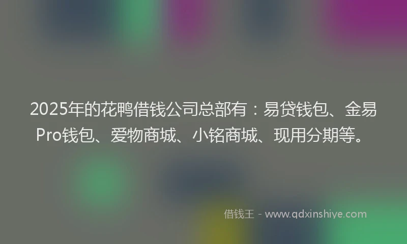 2025年的花鸭借钱公司总部有：易贷钱包、金易Pro钱包、爱物商城、小铭商城、现用分期等。