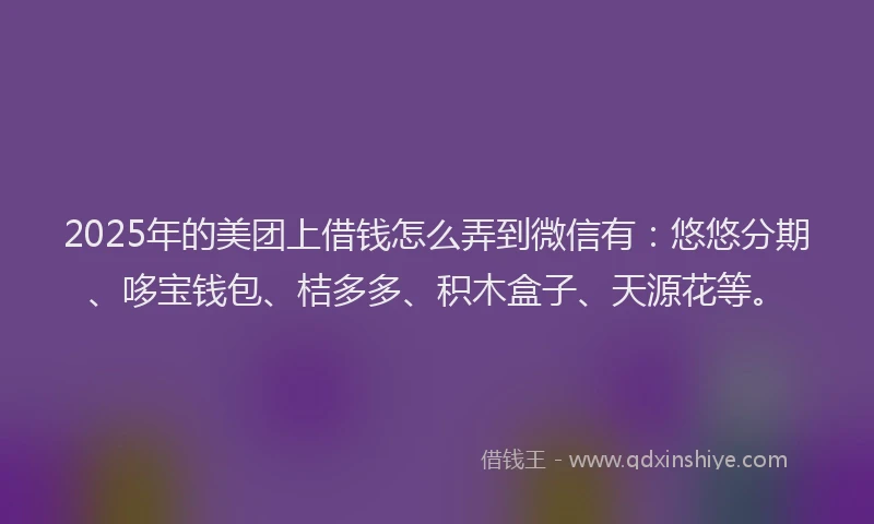 2025年的美团上借钱怎么弄到微信有：悠悠分期、哆宝钱包、桔多多、积木盒子、天源花等。