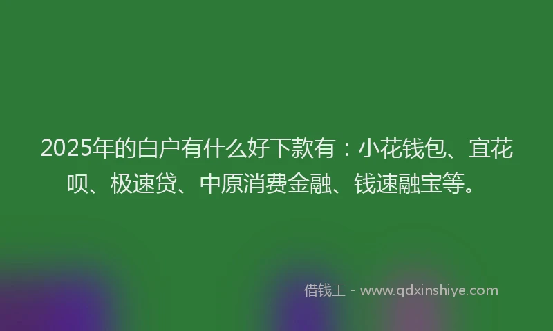 2025年的白户有什么好下款有：小花钱包、宜花呗、极速贷、中原消费金融、钱速融宝等。