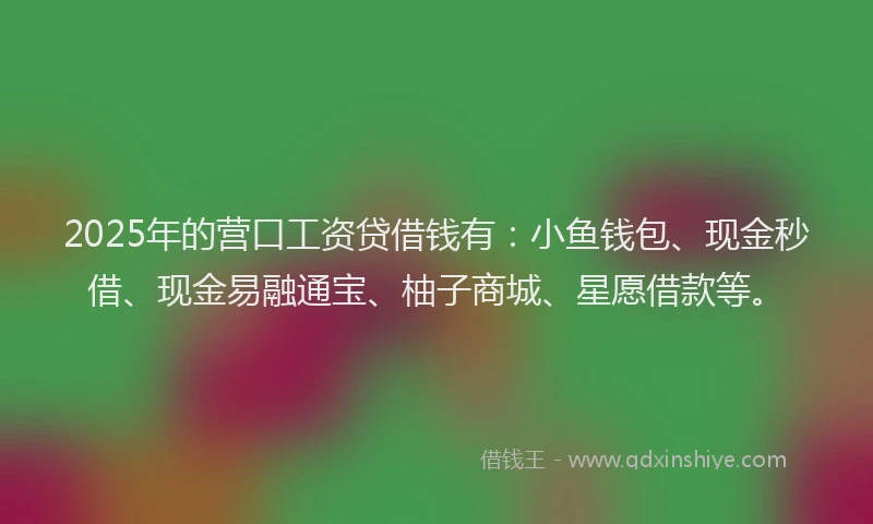2025年的营口工资贷借钱有：小鱼钱包、现金秒借、现金易融通宝、柚子商城、星愿借款等。