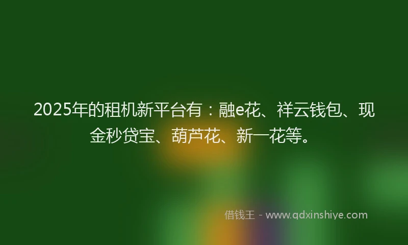 2025年的租机新平台有：融e花、祥云钱包、现金秒贷宝、葫芦花、新一花等。
