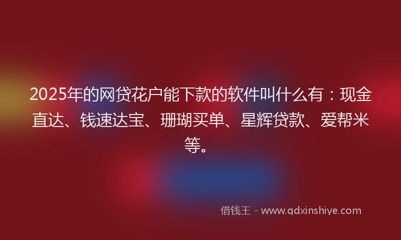 2025年的网贷花户能下款的软件叫什么有：现金直达、钱速达宝、珊瑚买单、星辉贷款、爱帮米等。