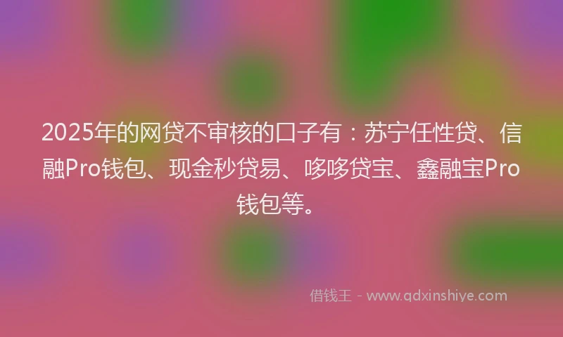 2025年的网贷不审核的口子有：苏宁任性贷、信融Pro钱包、现金秒贷易、哆哆贷宝、鑫融宝Pro钱包等。