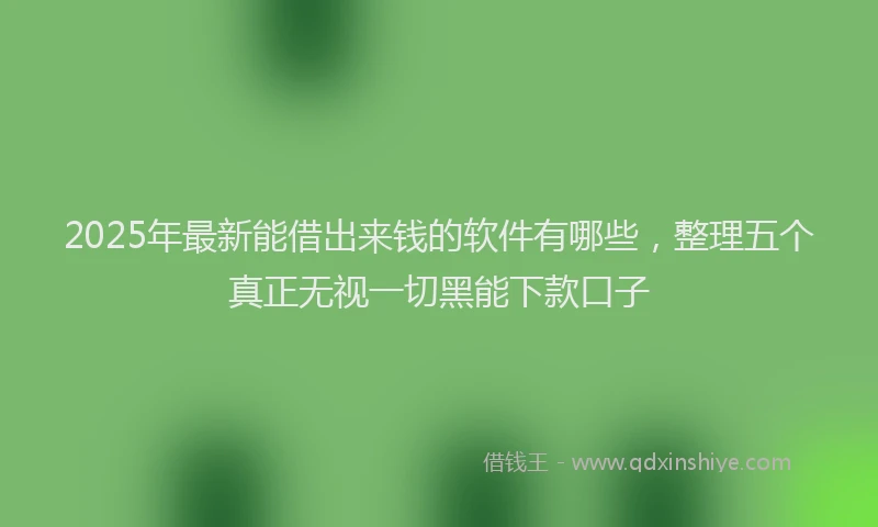 2025年最新能借出来钱的软件有哪些，整理五个真正无视一切黑能下款口子