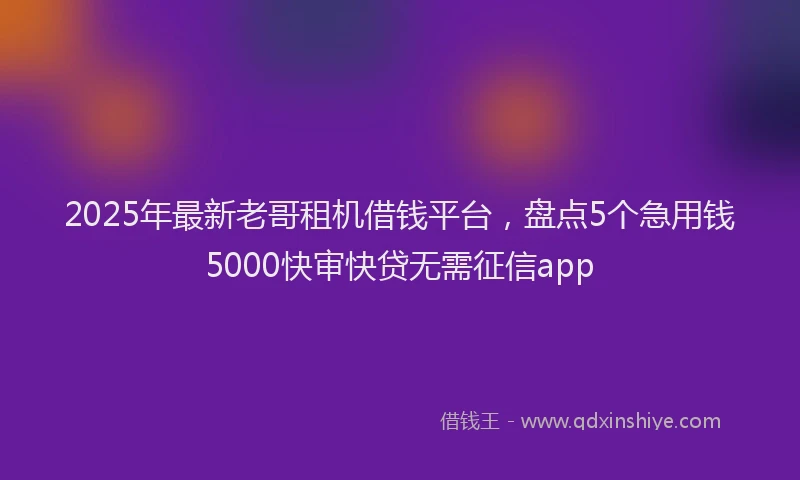 2025年最新老哥租机借钱平台，盘点5个急用钱5000快审快贷无需征信app