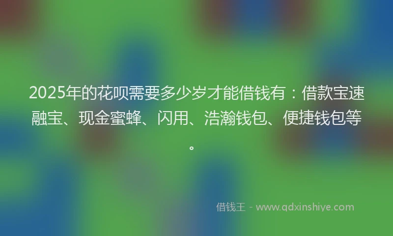 2025年的花呗需要多少岁才能借钱有：借款宝速融宝、现金蜜蜂、闪用、浩瀚钱包、便捷钱包等。