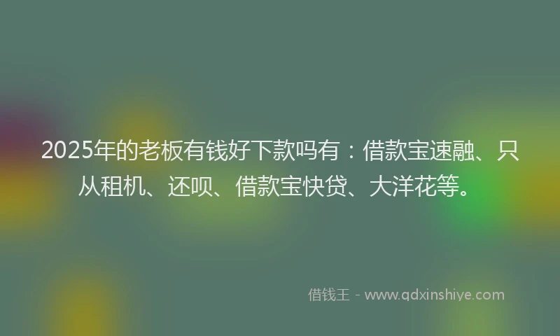 2025年的老板有钱好下款吗有：借款宝速融、只从租机、还呗、借款宝快贷、大洋花等。