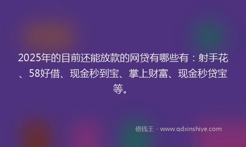 2025年的目前还能放款的网贷有哪些有：射手花、58好借、现金秒到宝、掌上财富、现金秒贷宝等。