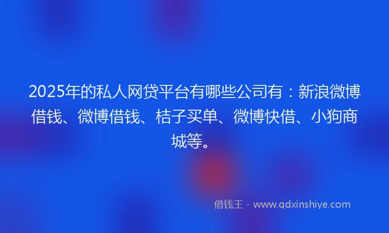 2025年的私人网贷平台有哪些公司有：新浪微博借钱、微博借钱、桔子买单、微博快借、小狗商城等。