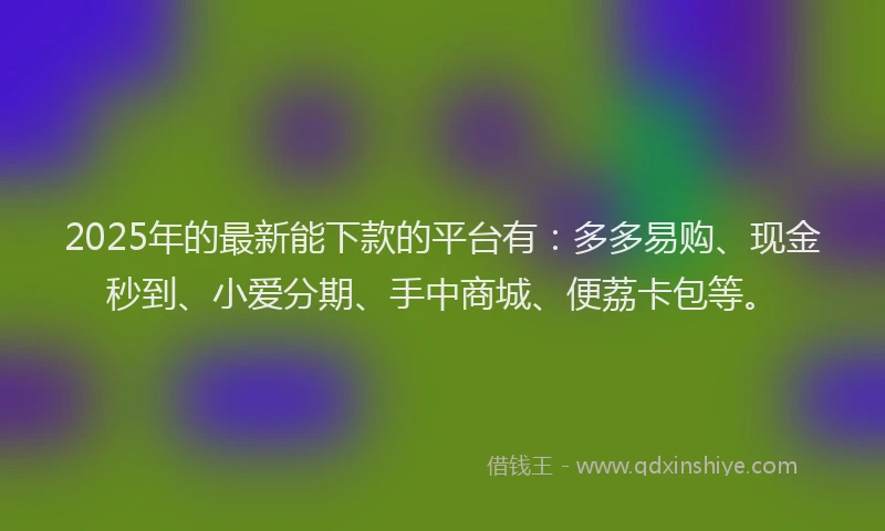 2025年的最新能下款的平台有：多多易购、现金秒到、小爱分期、手中商城、便荔卡包等。